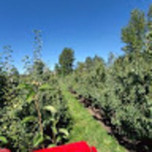 Meet your Posher, Manuel